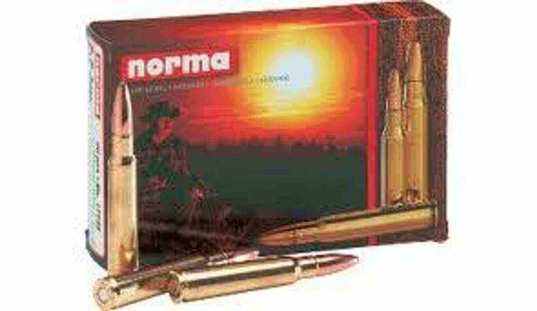 Norma 243 cal 100gr oryx