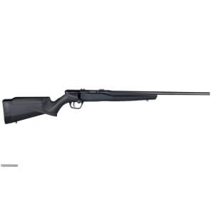 Savage B17 FV SR 17 HMR