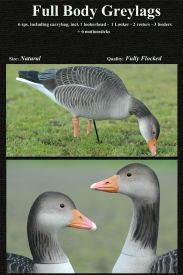 DK Wai Grágæs full body 6stk