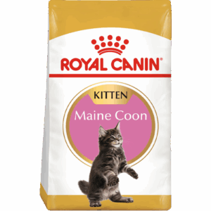 Royal Canin Maine Coon Kitten 4kg