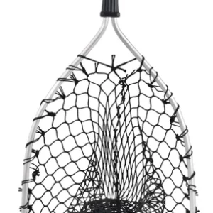 Fladen silungaháfur