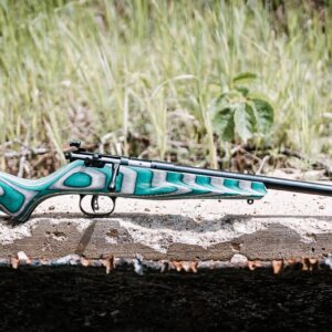Savage Rascal B-SR 22cal.
